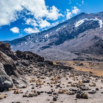 tourhub | Explore! | Kilimanjaro - Lemosho Trek 