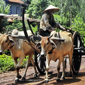 tourhub | All Points East | Vietnam and Cambodia Overland Tour 