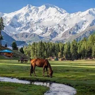 tourhub | Gypsy Traces and Tours | Fairy Meadows Tour 