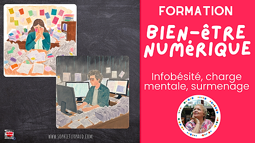 Représentation de la formation : Formation bien-être numérique : prévention surmenage, charge mentale, infobésité