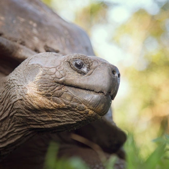 tourhub | G Adventures | Complete Galápagos - Yolita 