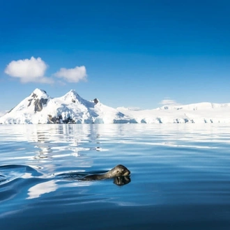 tourhub | Today Voyages | Antarctica - Basecamp - free camping, kayaking, snowshoe/hiking, photo workshop, mountaineering 