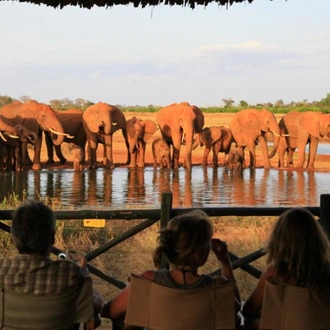tourhub | Today Voyages | Red Elephants Safari & Diani Beach Stay 