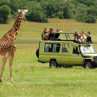 tourhub | Gracepatt Ecotours Kenya | Private 5 Days Tour to Amboseli Tsavo West and Tsavo East National Park 