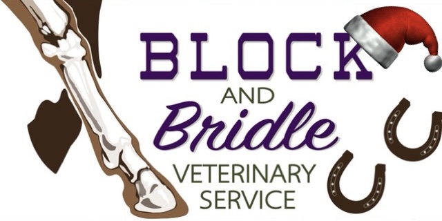 Block and Bridle Veterinary Service Christmas Charity logo