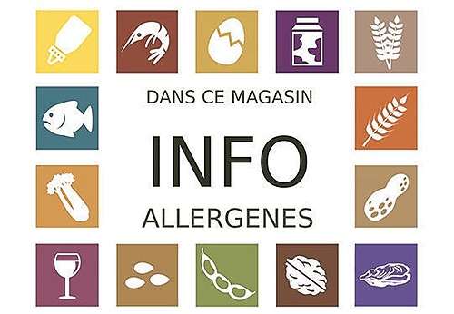 Représentation de la formation : Les allergènes obligatoires en Boulangerie Pâtisserie V2024