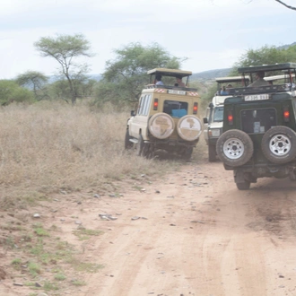 tourhub | Burigi Chato Safaris | 7 Days Tanzania Serengeti Wildebeest Migration Safari Packages for 2023, 2024, and 2025 With BURIGI CHATO SAFARIS. 