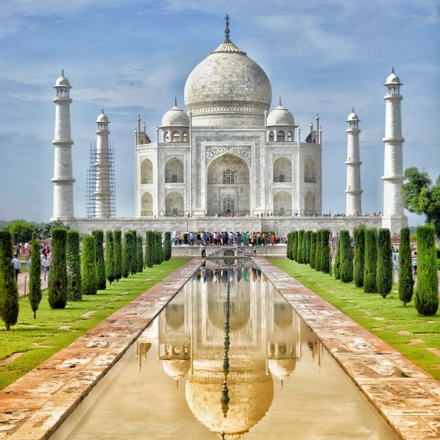 Taj Mahal Tour & Tiger Safari