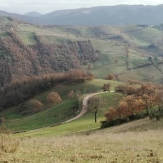 tourhub | UTracks | St Francis Way: Città di Castello to Assisi 