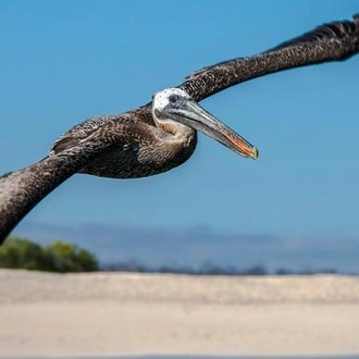 tourhub | G Adventures | Galápagos — North, Central, & South Islands aboard the Eden 