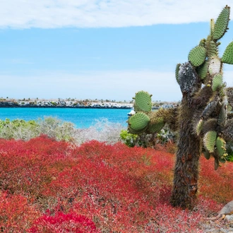 tourhub | Exodus Adventure Travels | Galapagos: In Darwin's Footsteps 