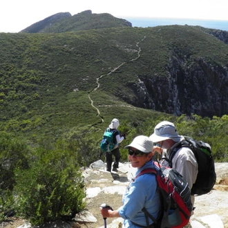 tourhub | Intrepid Travel | Walk Tasmania's East Coast 