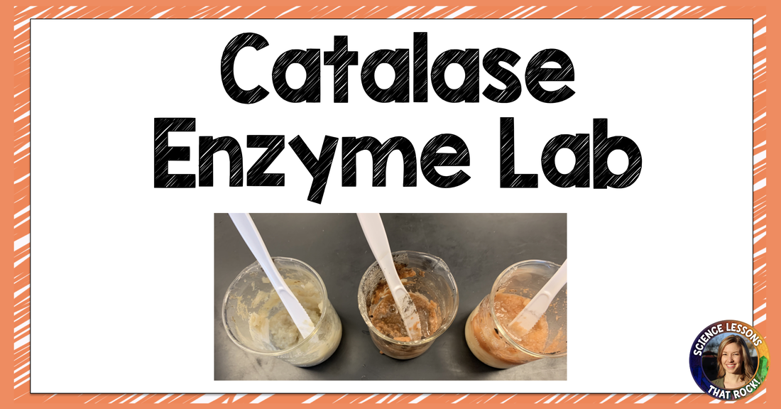 enzyme experiments at home