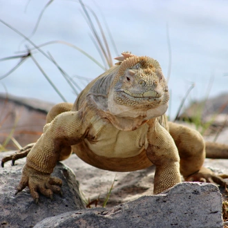 tourhub | Ecuador Galapagos Travels | 5 days Adventure Trip in Galapagos 