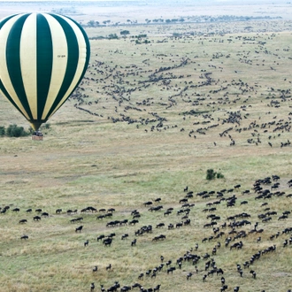 tourhub | Widerange African Safaris | 5 Days Tanzania Serengeti migration Mara River crossing Safari 