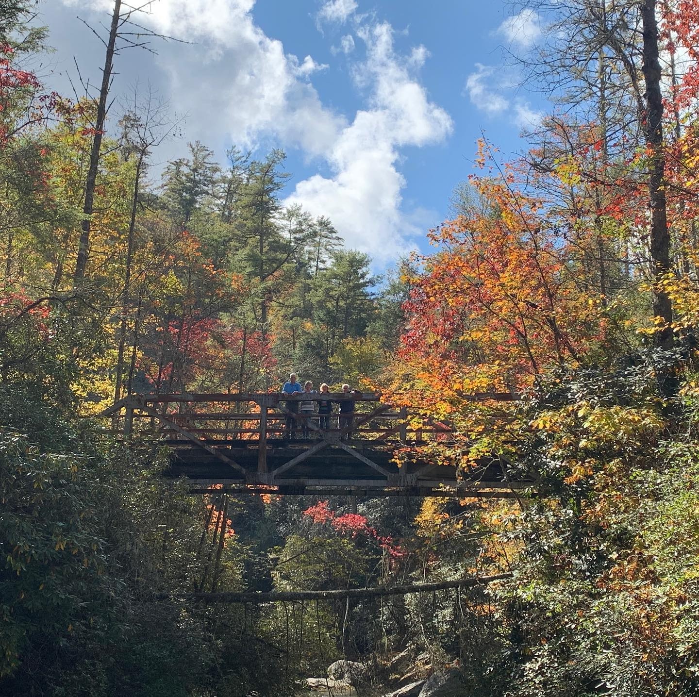 Private: Cashiers Rainforest Tour