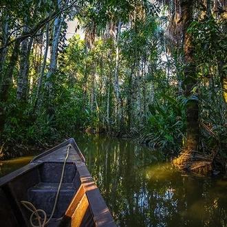 tourhub | Bamba Travel | Puerto Maldonado Amazon Field Station 4D/3N (from Puerto Maldonado) 