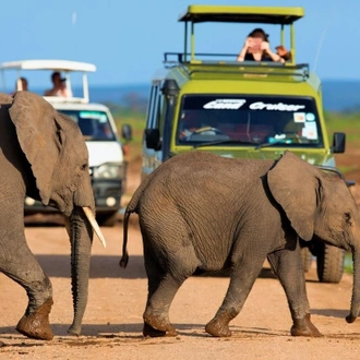 tourhub | Gracepatt Ecotours Kenya | From Nairobi: 2 Days Amboseli National Park Safari Package 