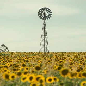 tourhub | Indus Travels | Queensland Essentials 