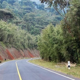 tourhub | Trek Rwenzori Tours | Gorilla Tracking, Glorious Wildlife & Lake Bunyonyi 