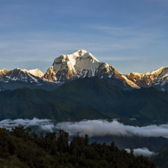 tourhub | Mount Adventure Holidays | Annapurna View Trek 