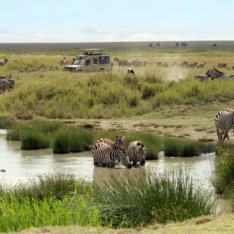 tourhub | Zara Tanzania Adventures | 5-Days Experience Tanzania Luxury Safari 