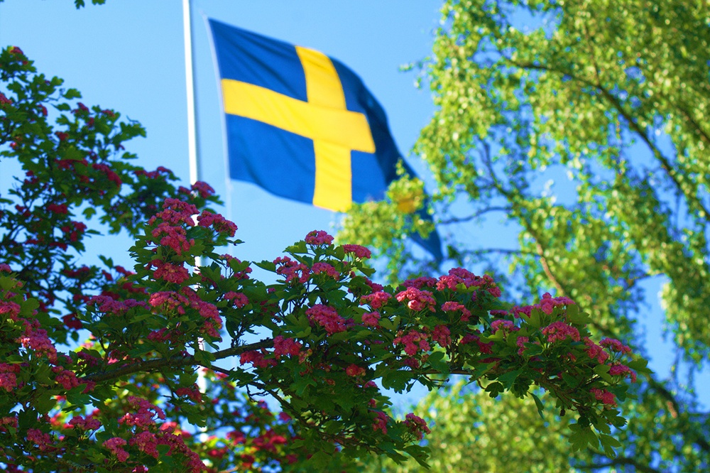 Svensk flagga som fladdrar i vinden.