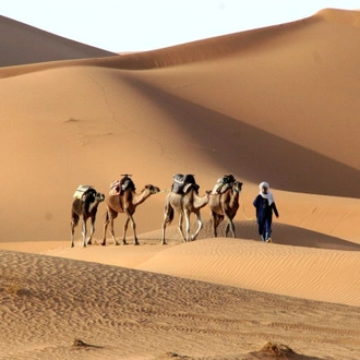 tourhub | Travel Talk Tours | Adventure Morocco (4 Star Hotels) 