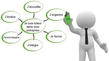 Représentation de la formation : Exercer le rôle de tuteur