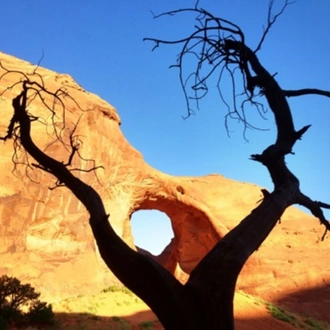 tourhub | Bindlestiff Tours | 7-Day National Parks Tour: Zion, Bryce Canyon, Monument Valley and Grand Canyon South Rim with Lodging 