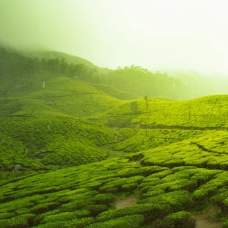 tourhub | Pay Less Tours India | Idyllic Kerala tour with Mumbai 