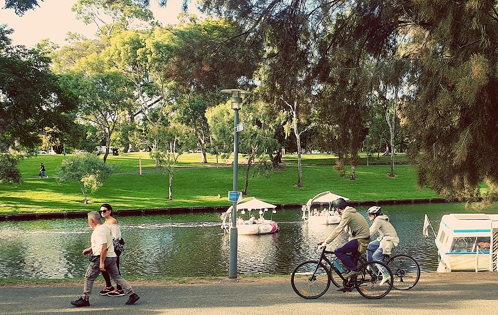 The River Torrens / Karrawirra Pari in Red Gum Park / Karrawirra (Park 12)