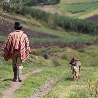 tourhub | Undiscovered Destinations | Ecuador - Astride the Equator 