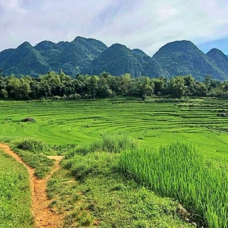 tourhub | All Points East | ‘Unexplored, The Far North’ | Thailand, Laos and Vietnam Tour 