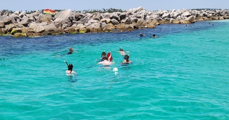 Three Hour Dolphin Watch & Snorkel Excursion