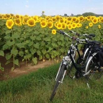 tourhub | UTracks | Classic Loire Valley by Bike 