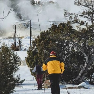 tourhub | On The Go Tours | Yellowstone in Winter - 6 days  