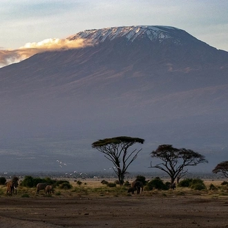 tourhub | Exodus Safaris | 6-Day Kenya Luxury Safari Package: Amboseli, Flight to Masai Mara, Lake Nakuru 