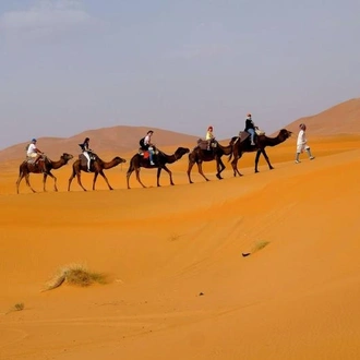 tourhub | Gray Line UAE & Oman | UAE Escorted Tour: The Expert Package - 7 Days / 6 Nights 