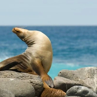 tourhub | On The Go Tours | Galapagos Encompassed - 17 days 