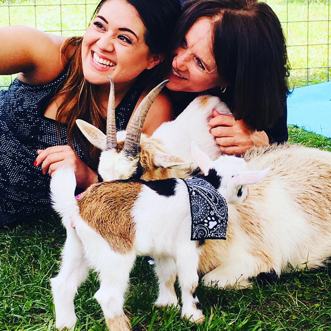 Goat Yoga with Adorable Baby Goats and Mimosas image 5