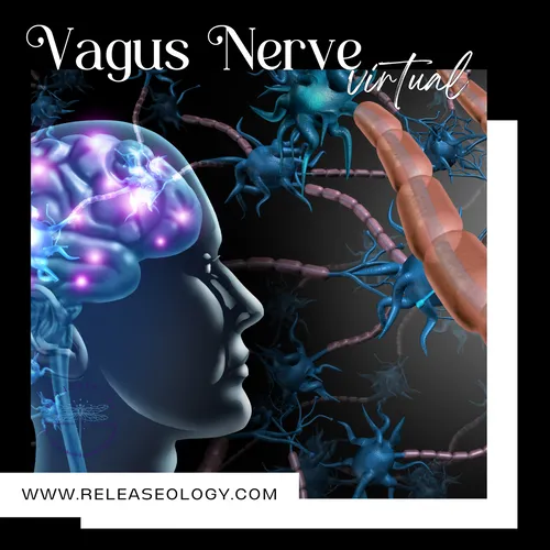 Vagus Nerve Harmony Virtual Guidance