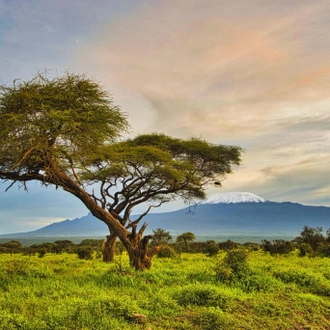 tourhub | Johnbow Tours and Travel | 3 Days Amboseli National Park Safari 