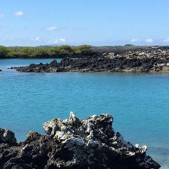 tourhub | Ecuador Galapagos Travels | 8 Days Galapagos Island Hopping Tour (San Cristobal - Santa Cruz - Isabela) 