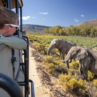 tourhub | Exodus Adventure Travels | South Africa: Family Cape Adventure 