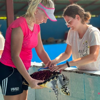 tourhub | Backpacking Tours | Turtle Conservation: Bali 