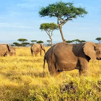 tourhub | Royal Private Safaris | 7 DAYS TEMPTING KENYA SAFARI WITH LUXURY LAKE ESCAPE | Tour Map