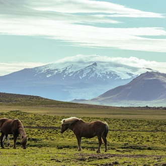 tourhub | Intrepid Travel | Iceland Family Holiday		 