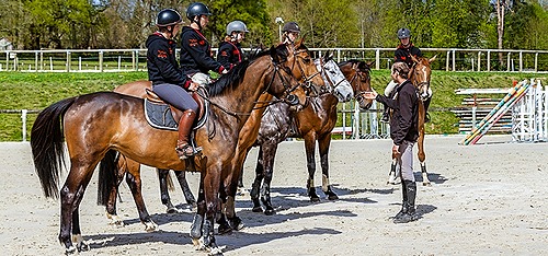 Représentation de la formation : DEJEPS PERFECTIONNEMENT SPORTIF MENTION SE