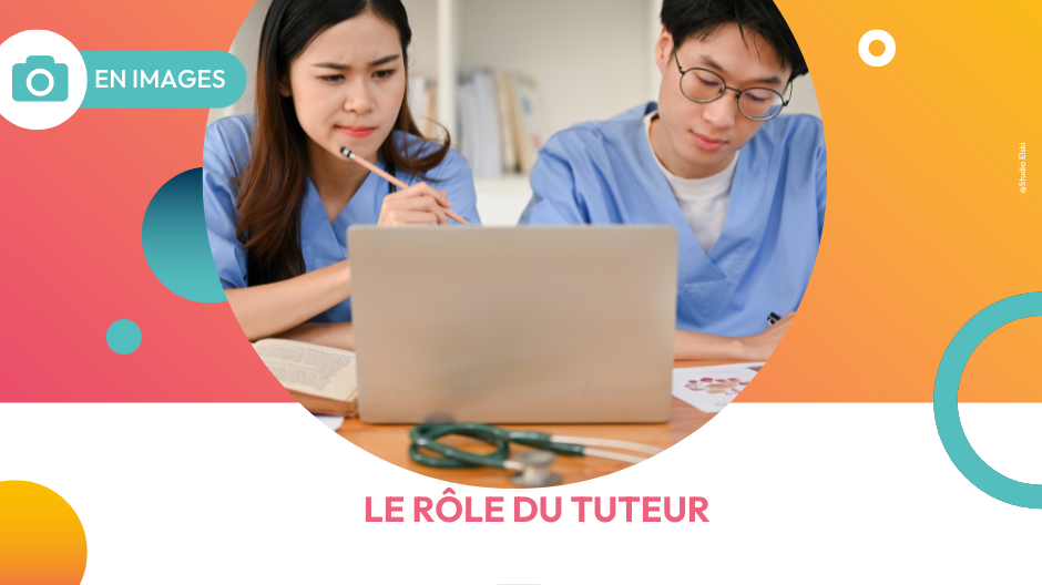 Représentation de la formation : Exercer le rôle du tuteur (établissements) 